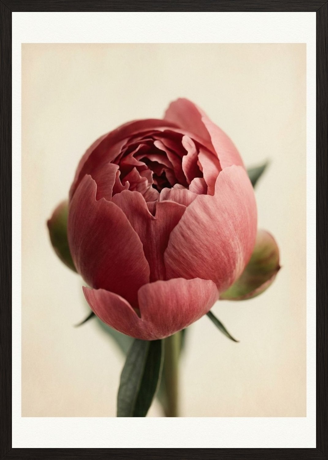 Poster in black frame