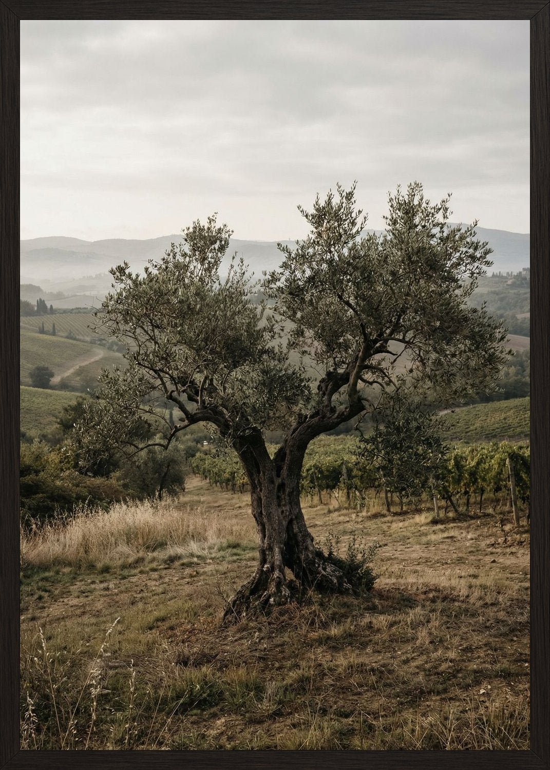 Poster in black frame