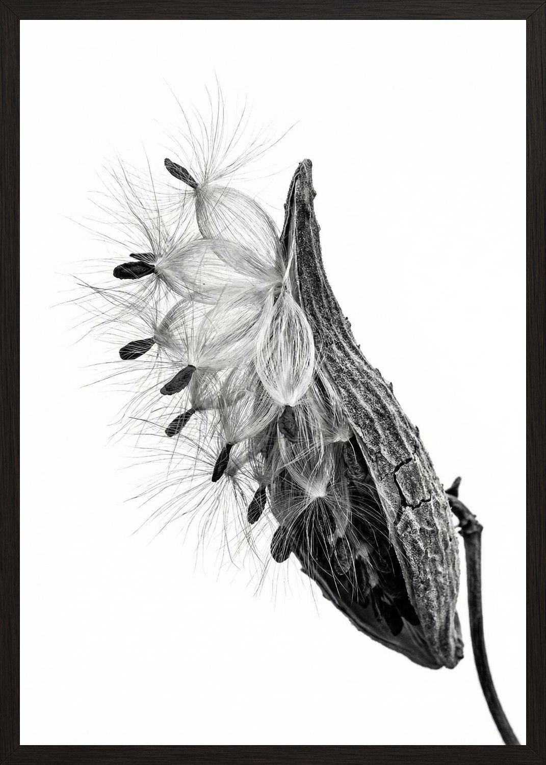 Poster in black frame