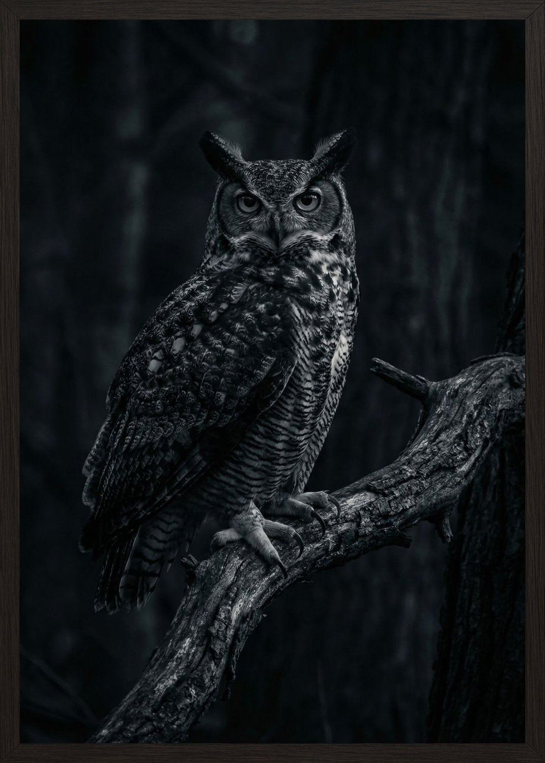Poster in oak frame