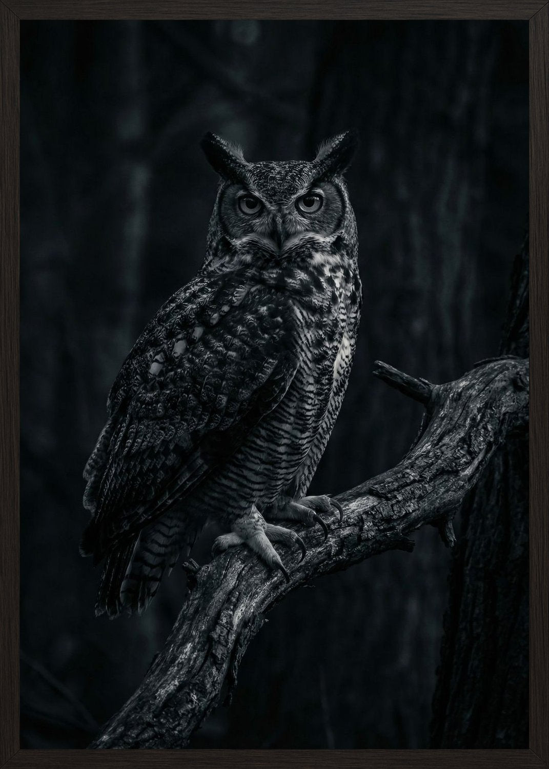 Poster in black frame