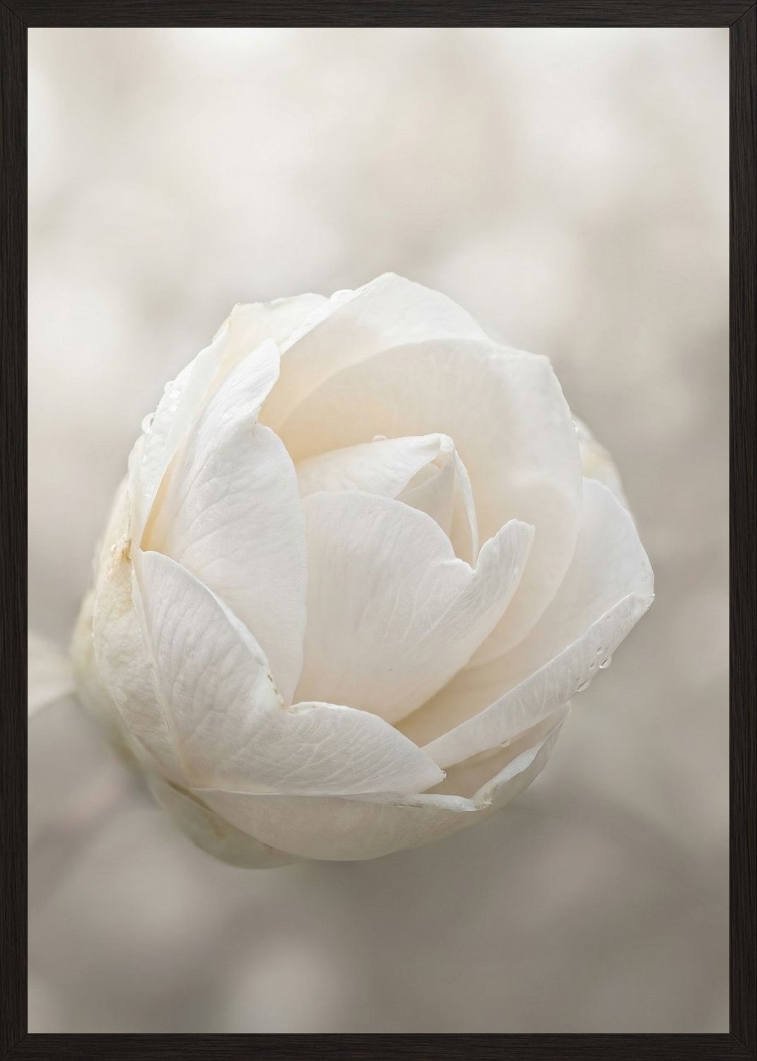 Poster in black frame