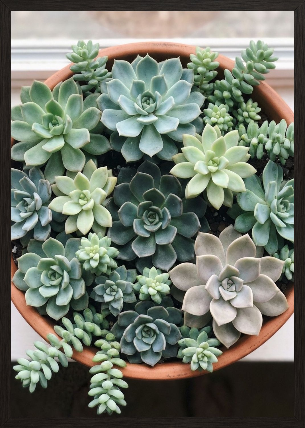 Poster in black frame