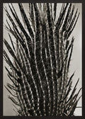 Poster in black frame