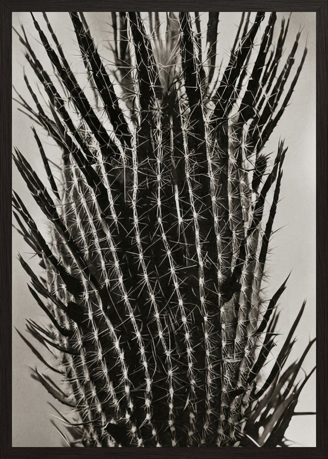 Poster in black frame