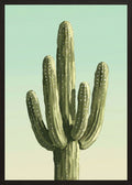 Poster in oak frame