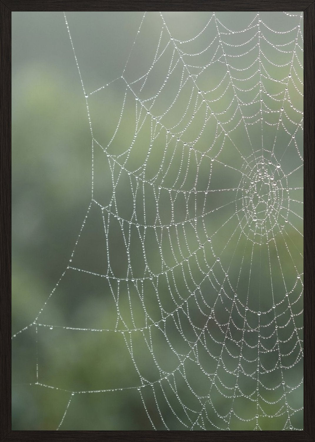 Poster in black frame