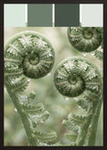 Poster in black frame