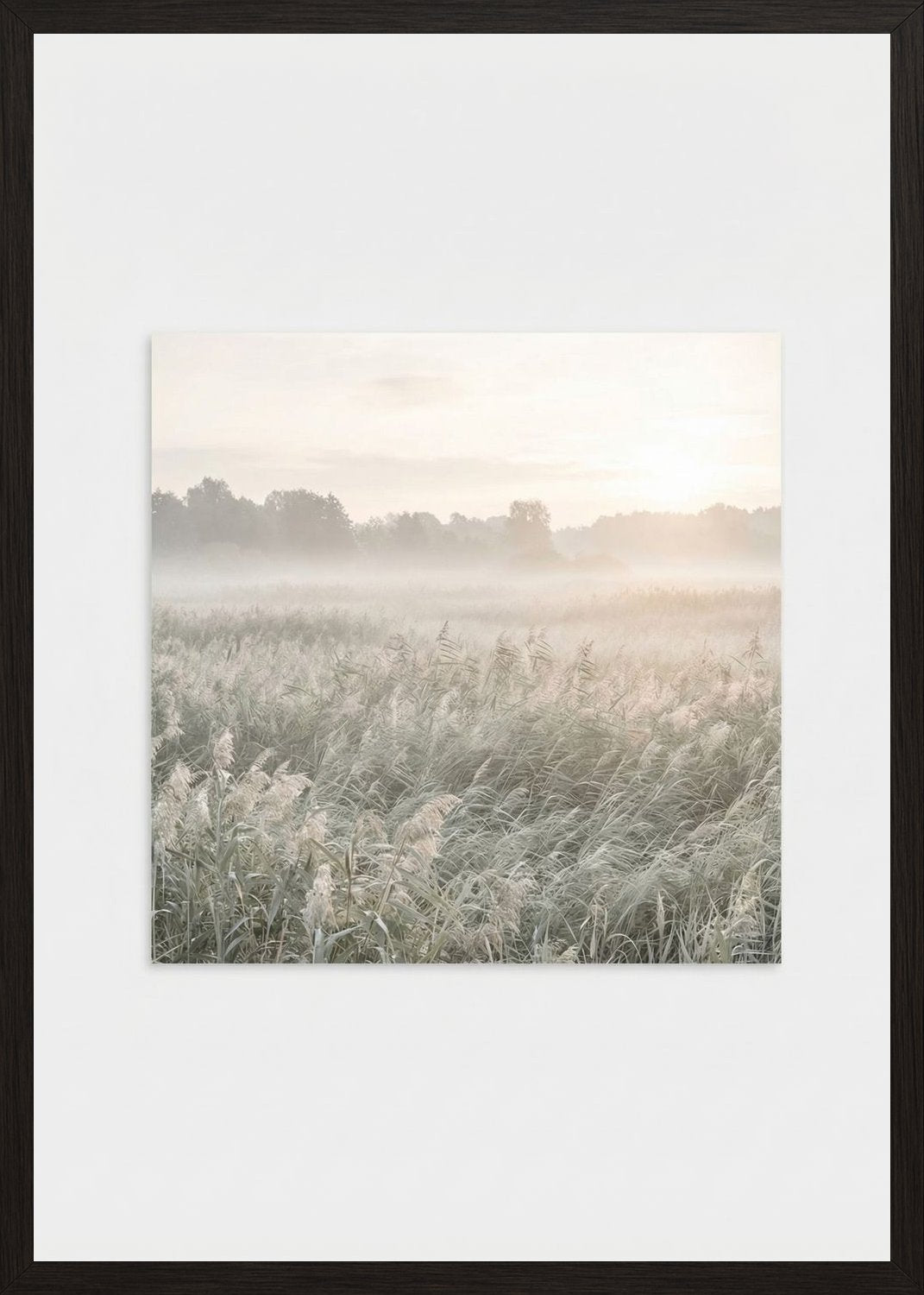 Poster in oak frame