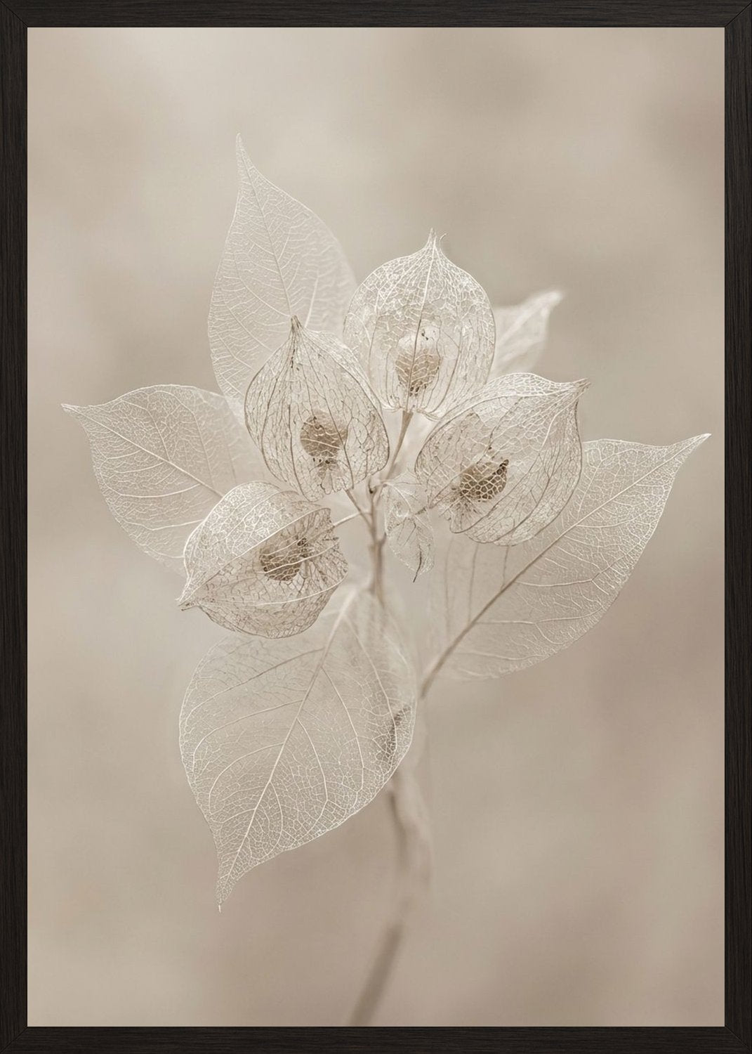 Poster in black frame