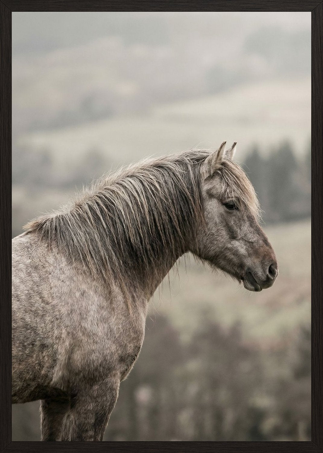 Poster in black frame