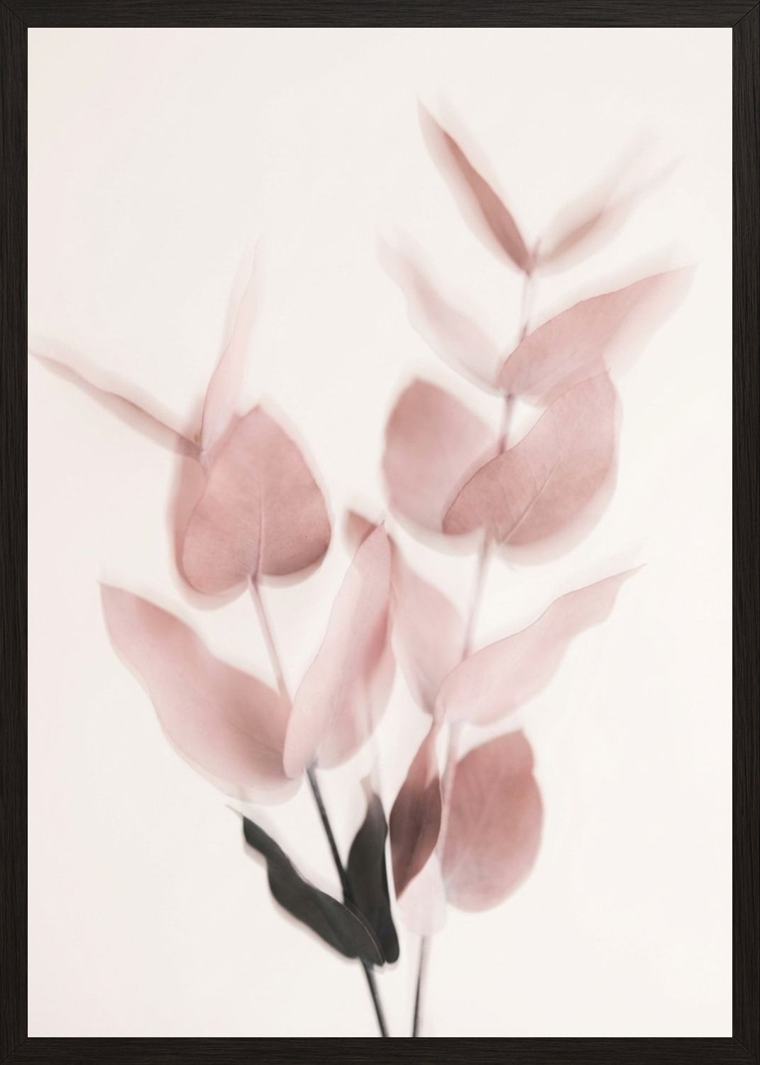 Poster in black frame