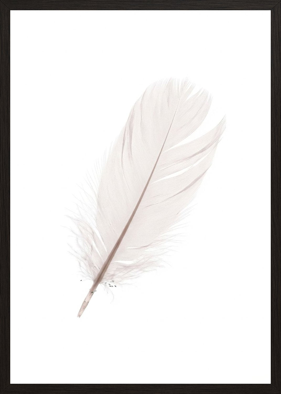 Poster in black frame