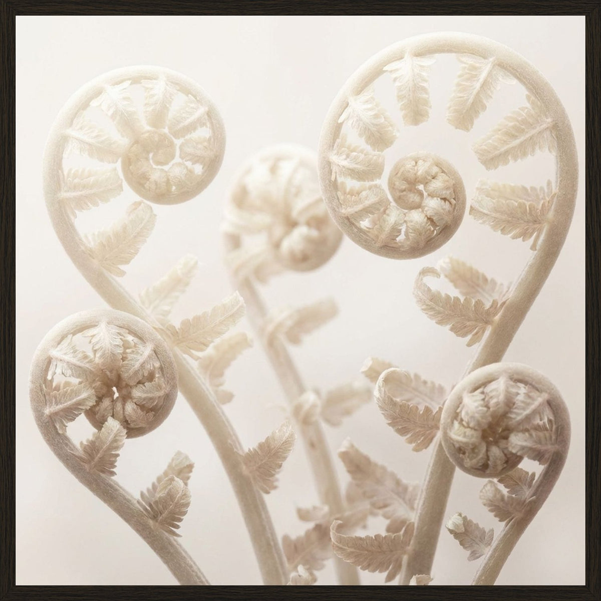 Poster in black frame