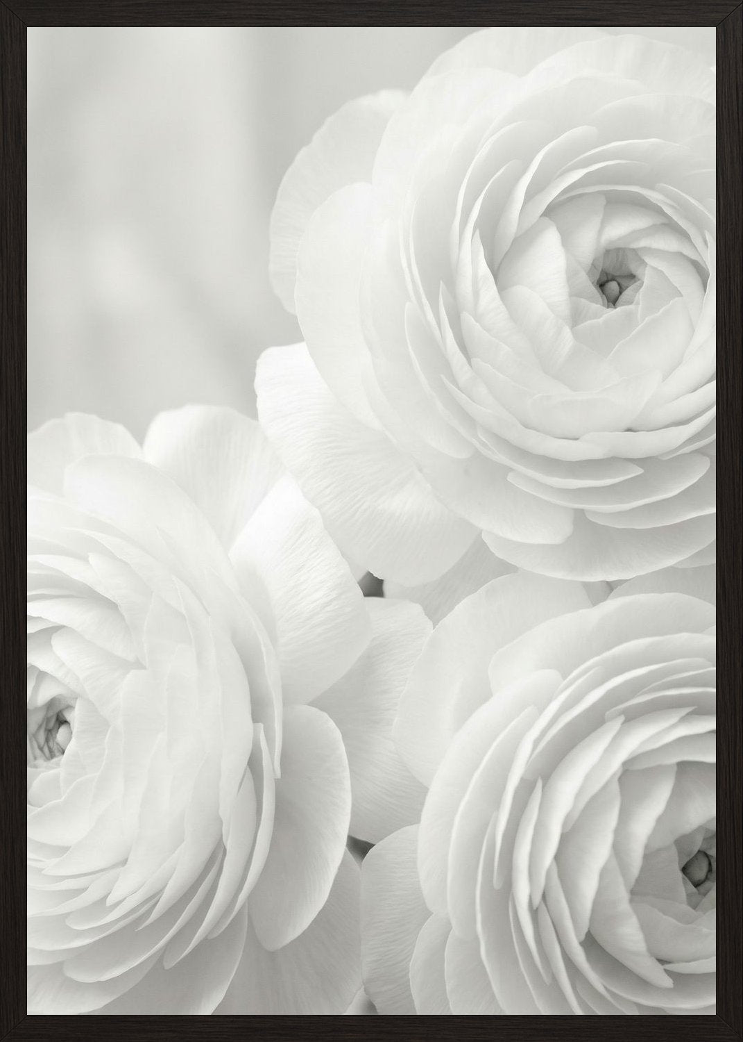 Poster in black frame