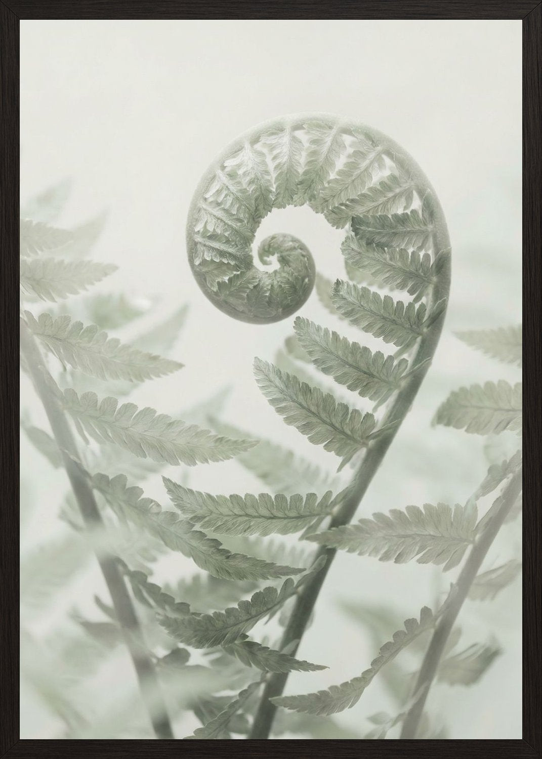 Poster in black frame