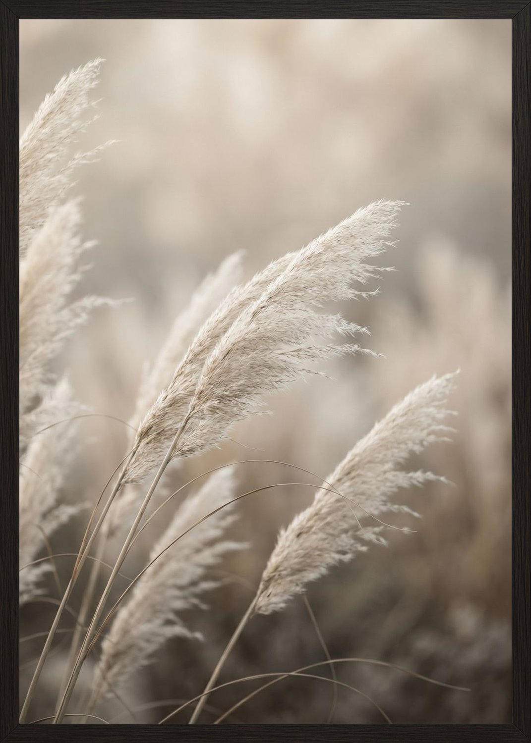 Poster in oak frame