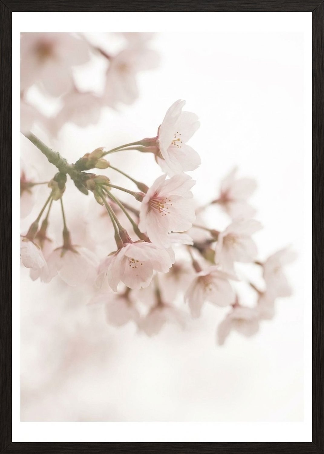 Poster in black frame