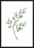 Poster in oak frame