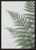 Poster in oak frame