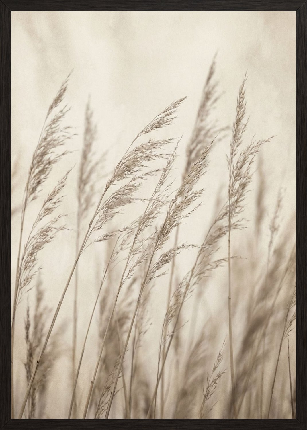 Poster in black frame