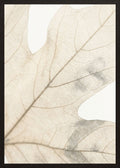 Poster in black frame