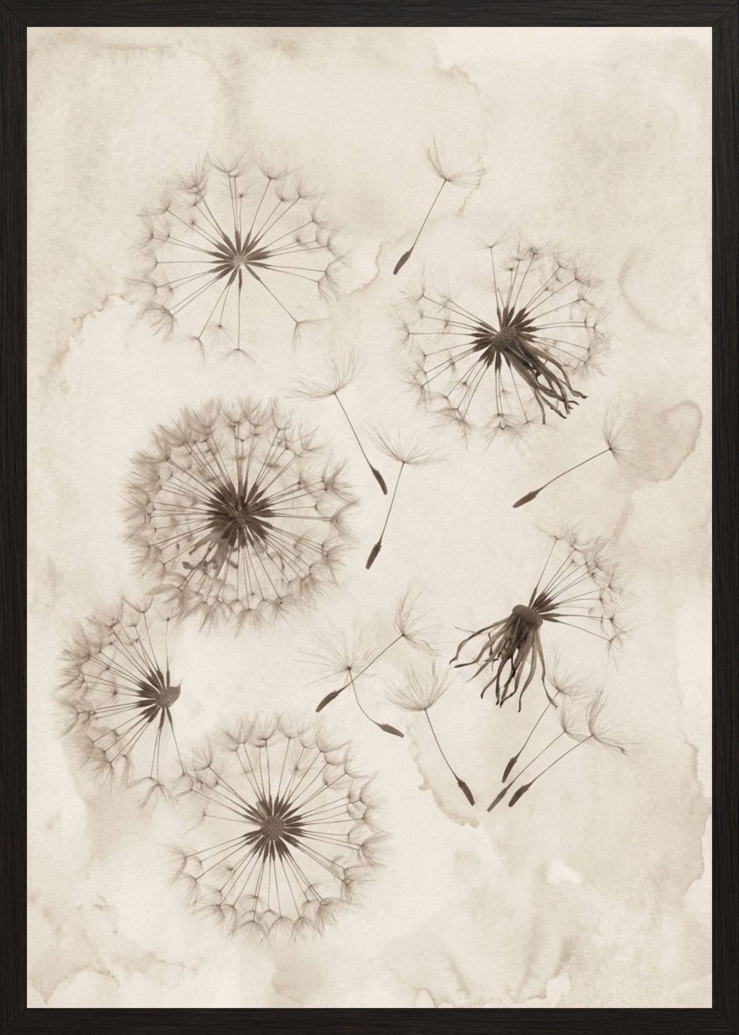 Poster in black frame