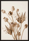 Poster in black frame