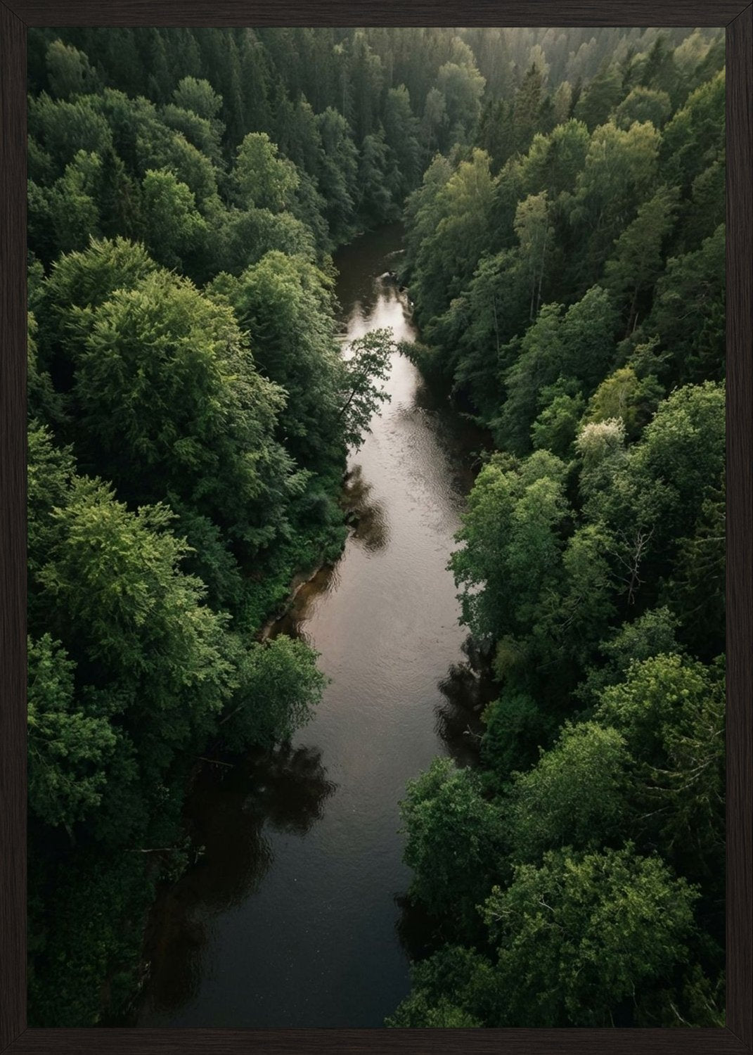 Poster in black frame