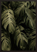 Poster in black frame