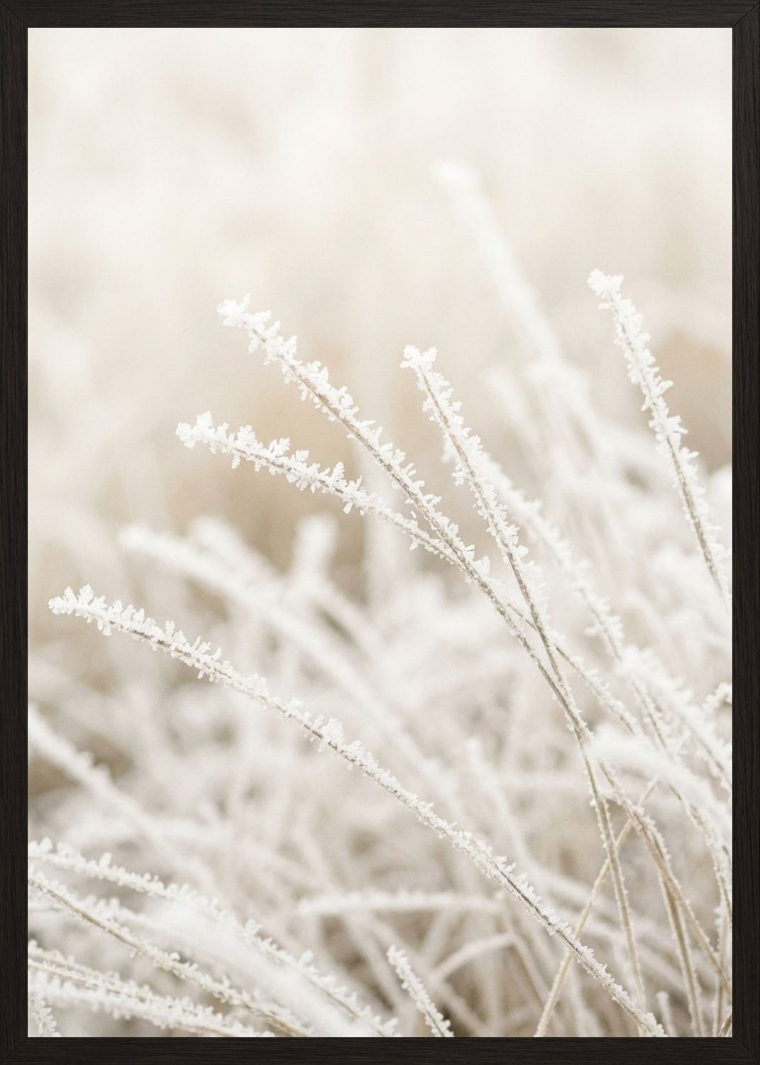 Poster in black frame