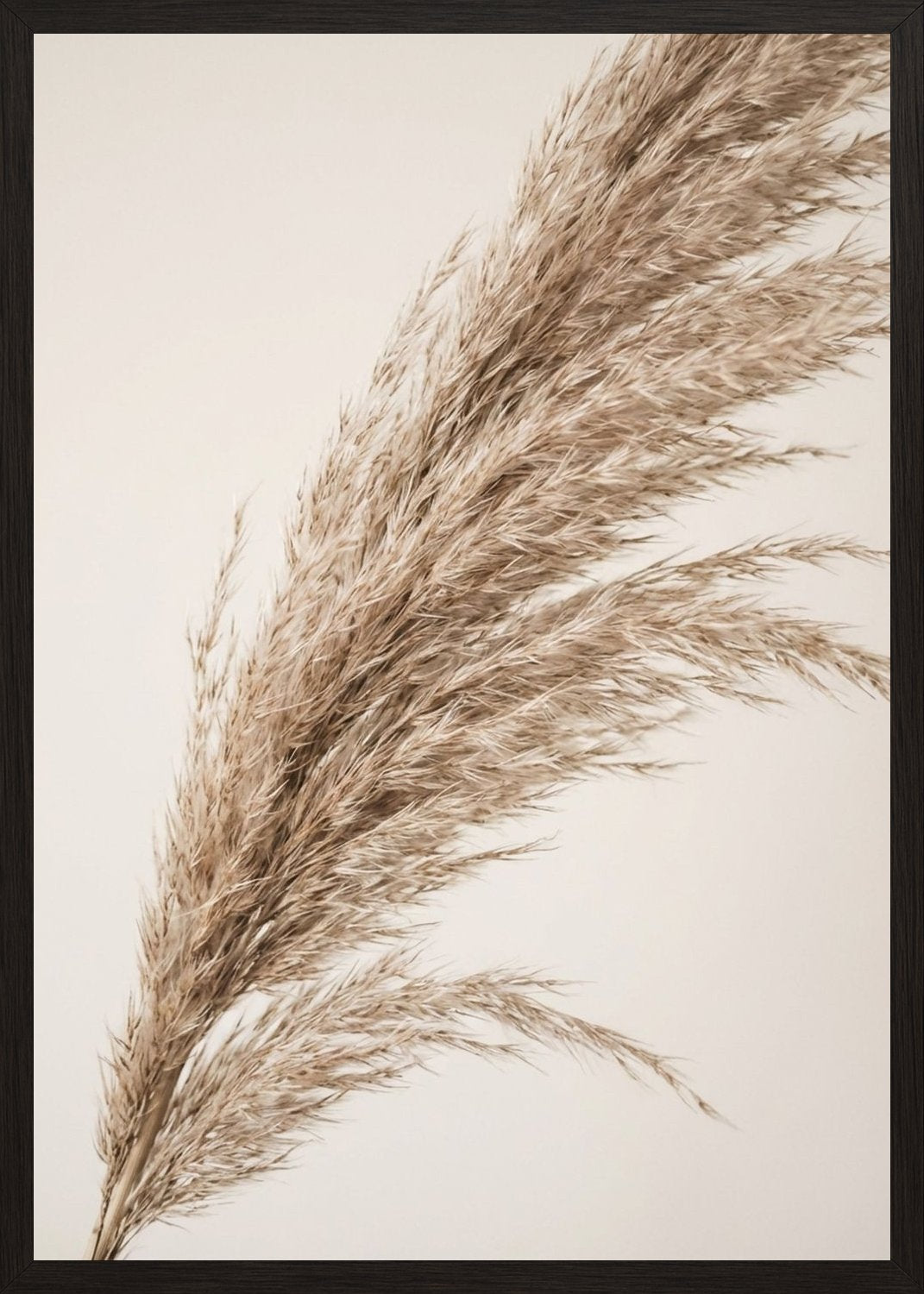 Poster in black frame