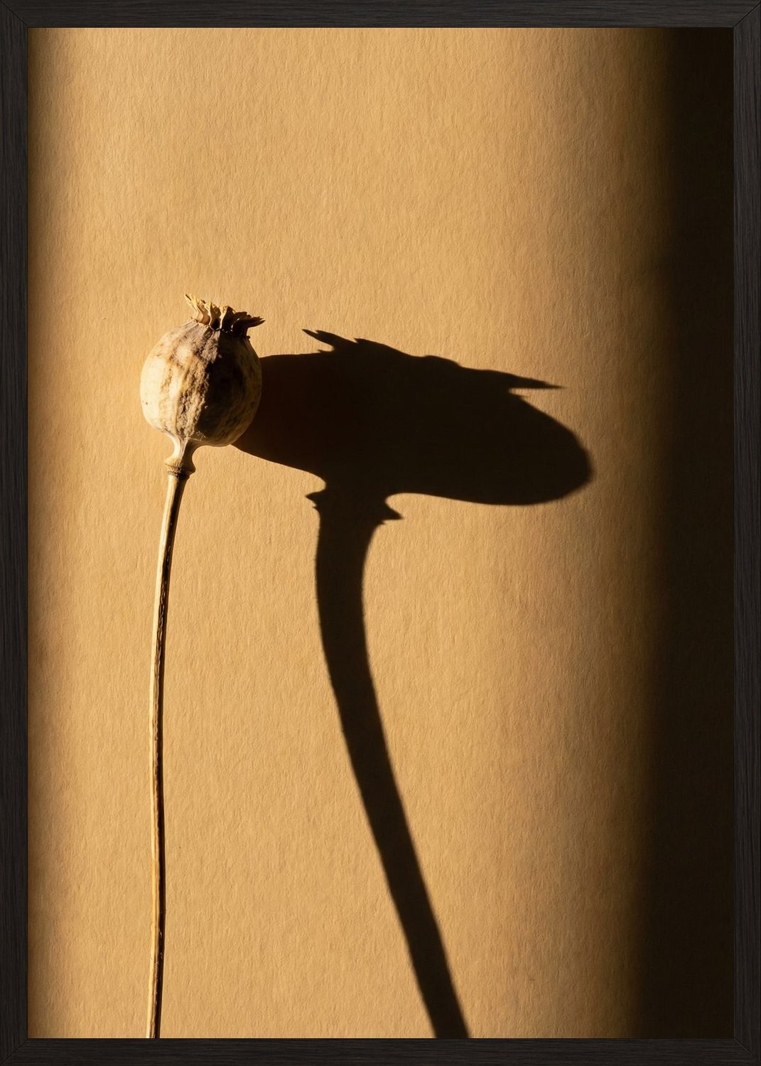 Poster in black frame