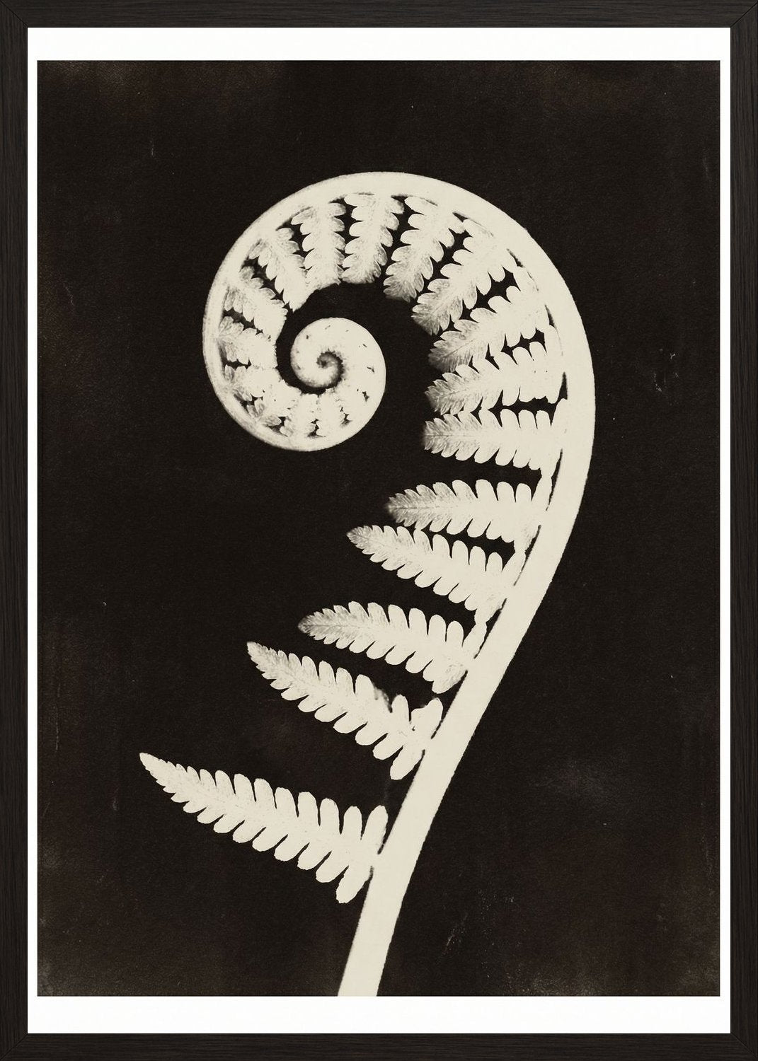 Poster in black frame