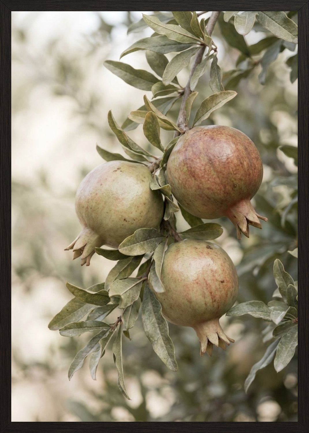 Poster in black frame