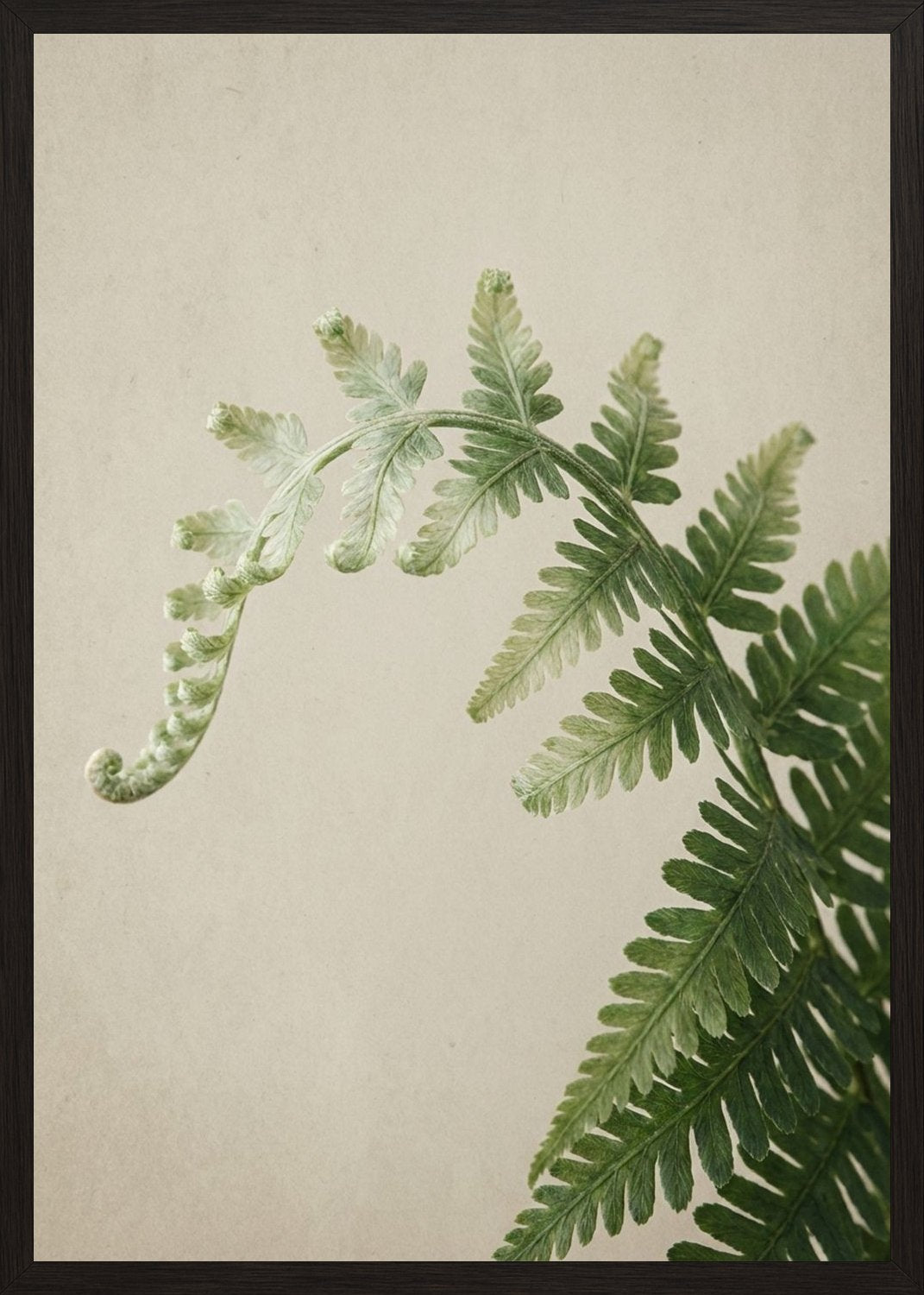 Poster in black frame