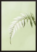 Poster in black frame