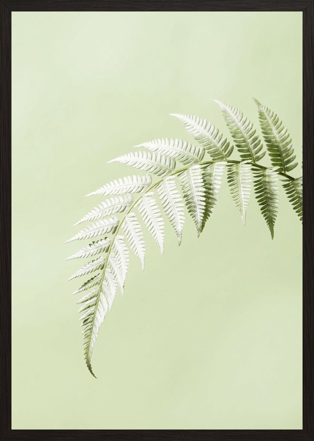 Poster in black frame