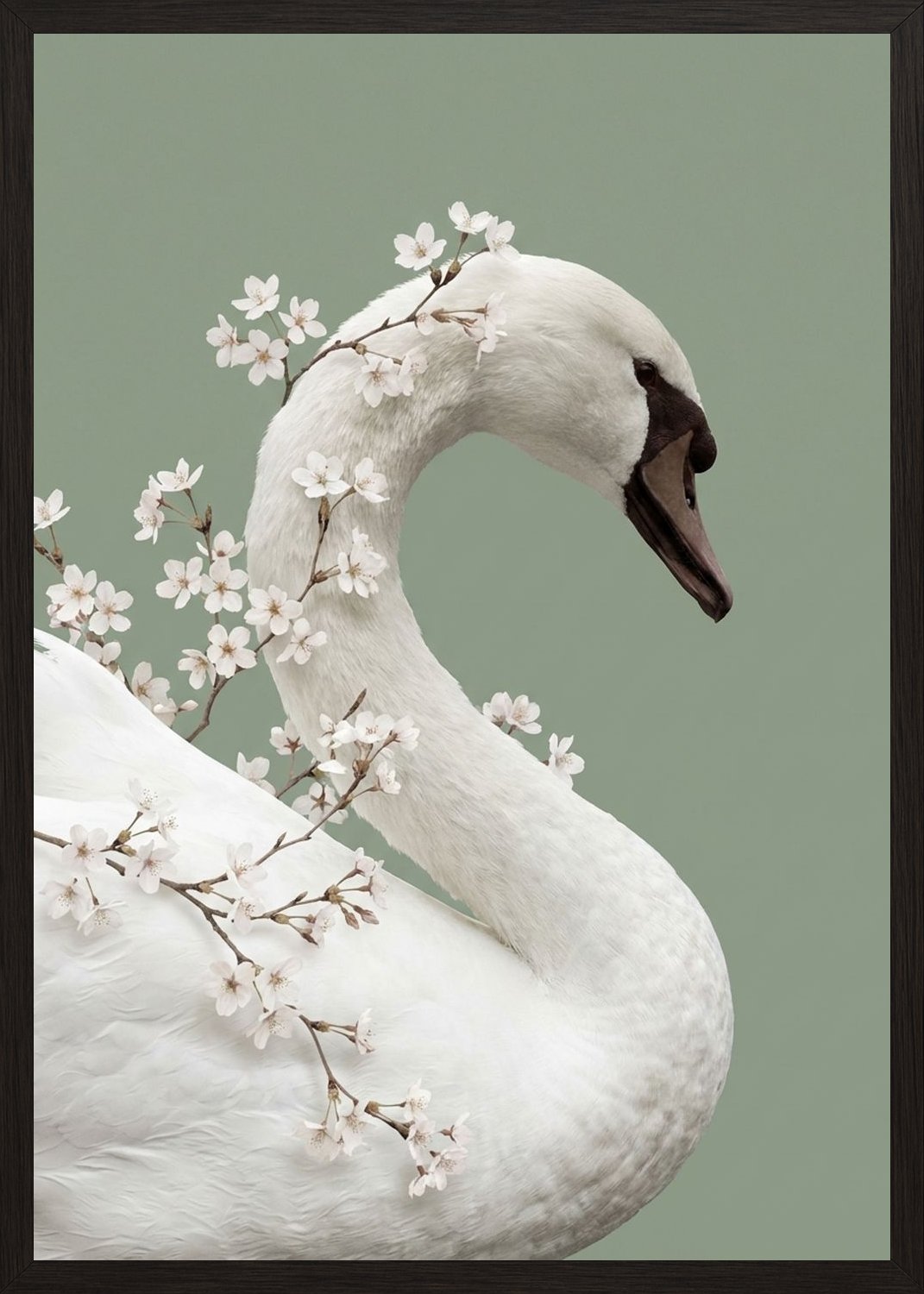 Poster in black frame