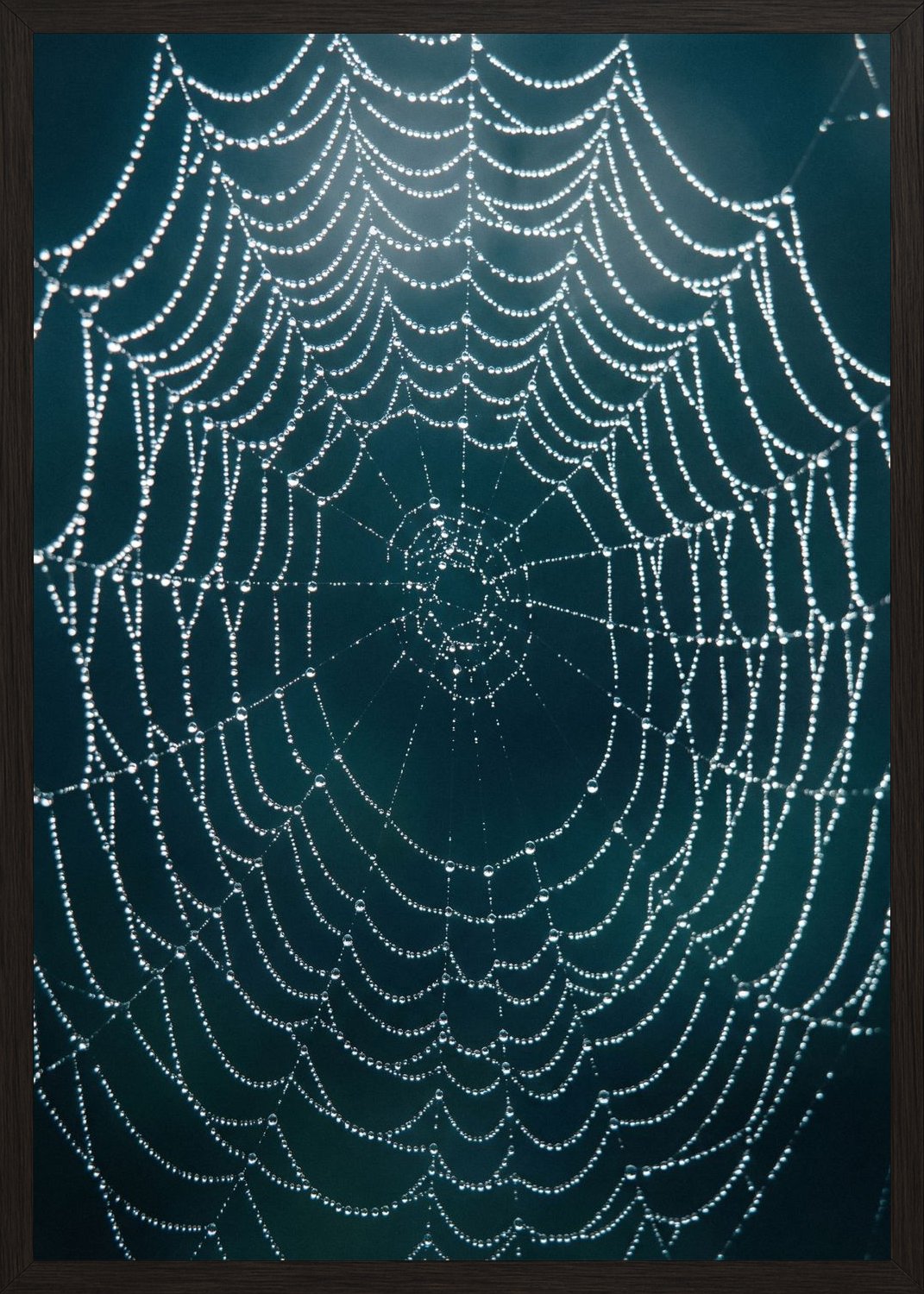 Poster in black frame