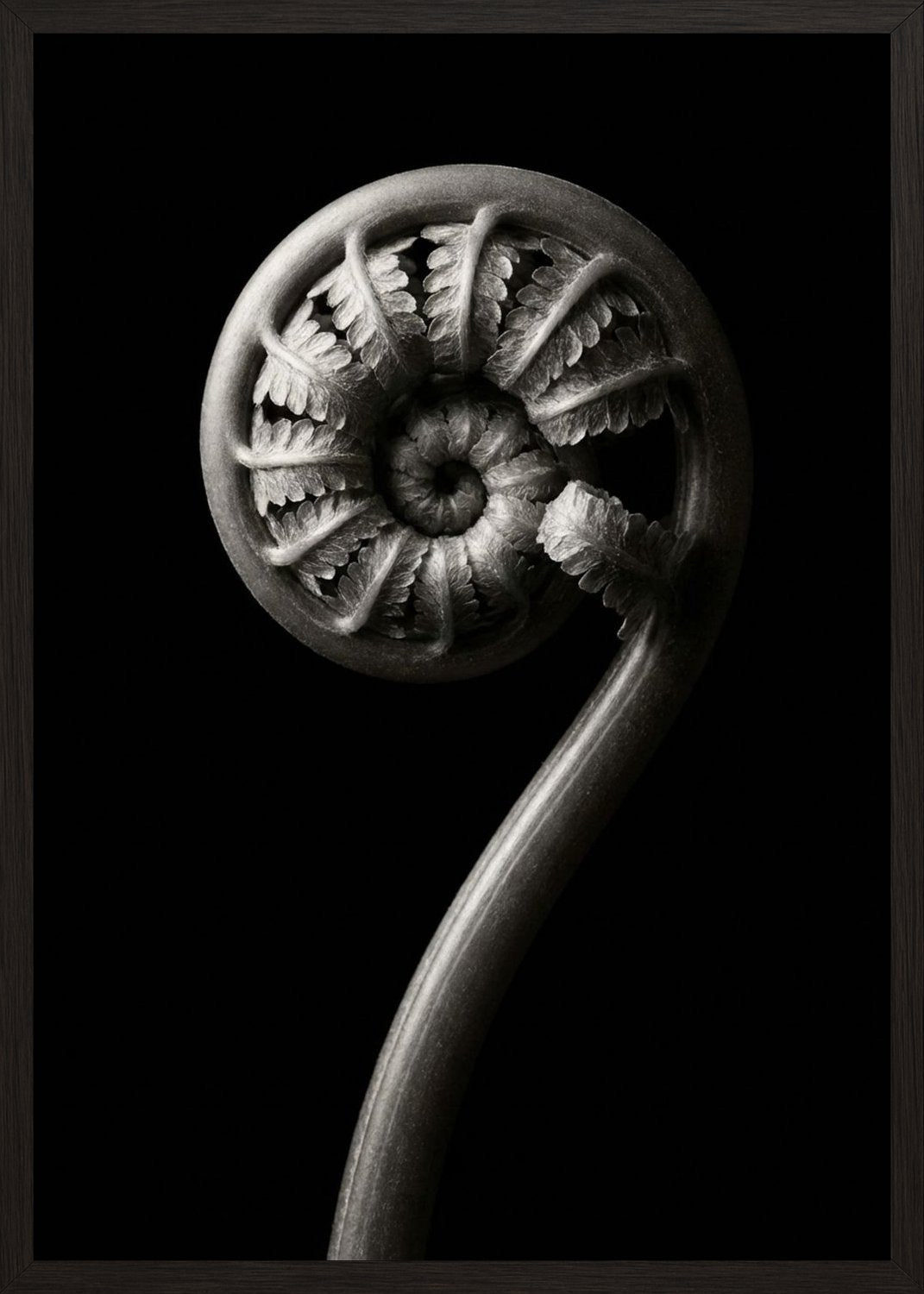 Poster in black frame