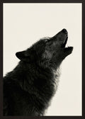 Poster in black frame