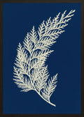 Poster in black frame