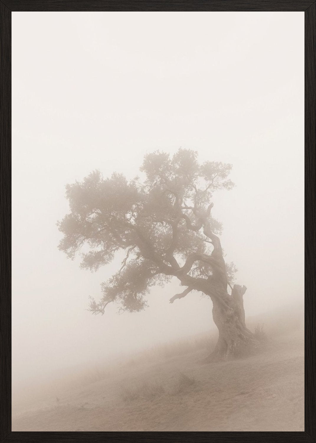 Poster in black frame