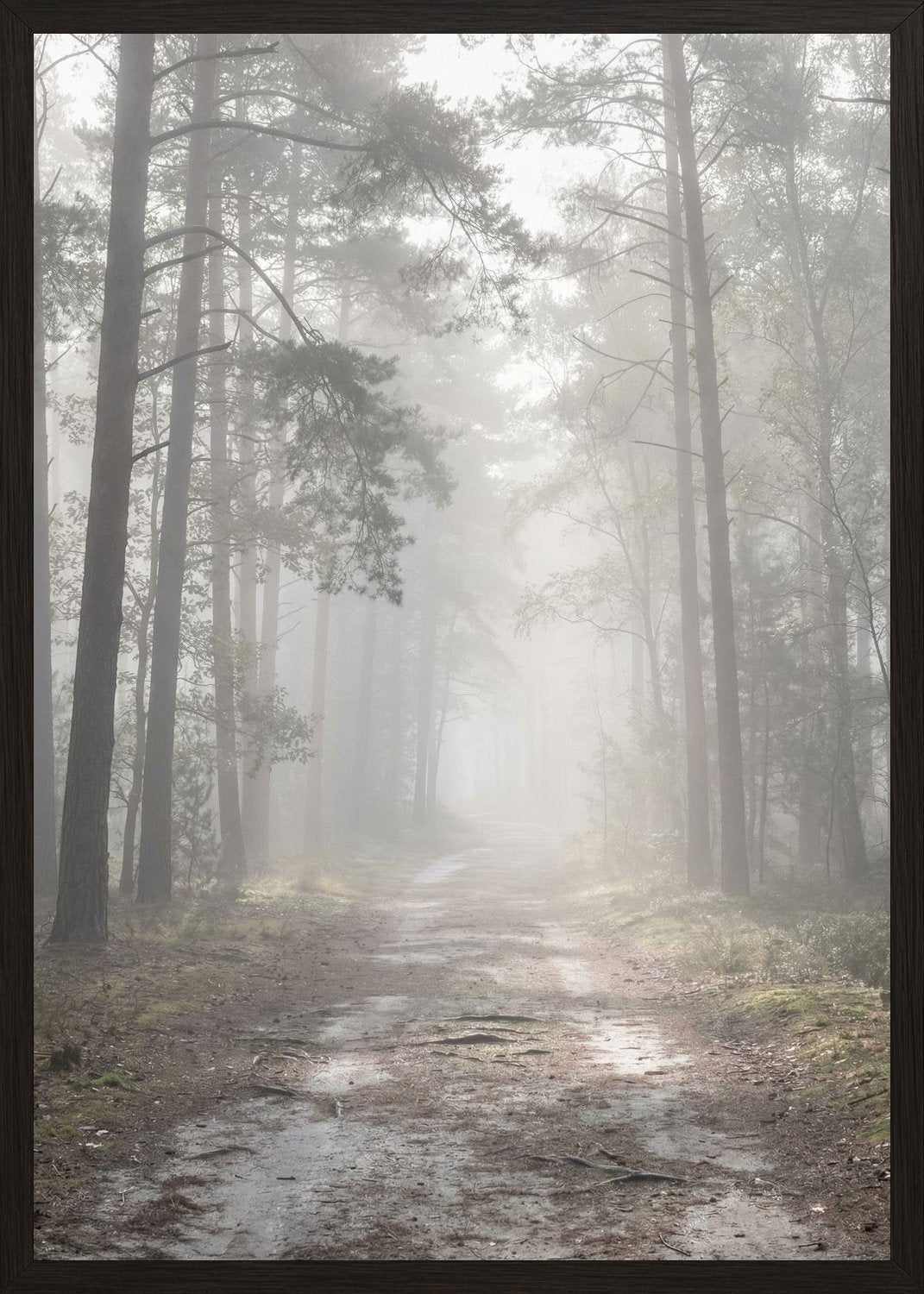 Poster in black frame