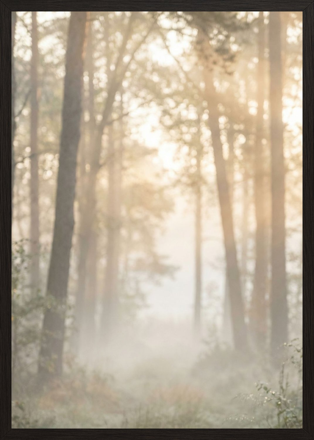 Poster in black frame