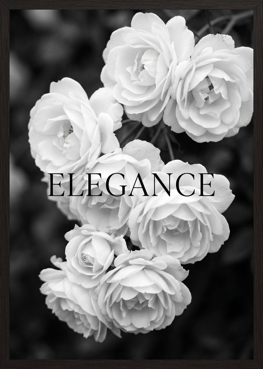 Poster in oak frame