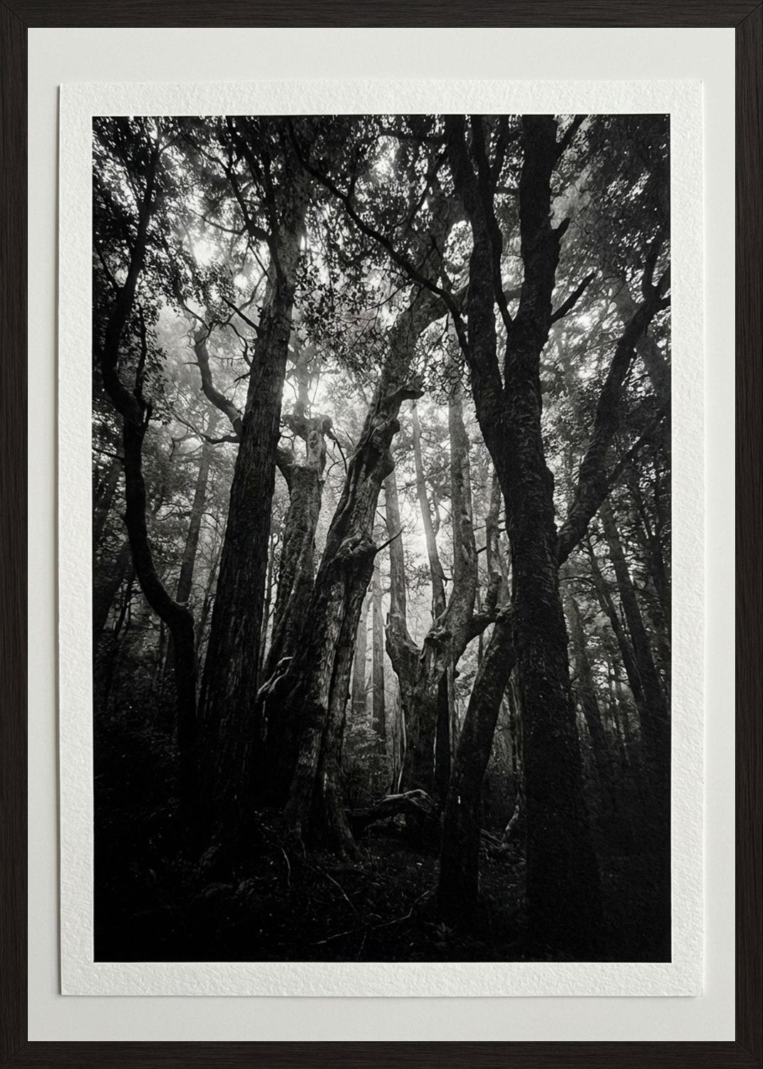 Poster in black frame