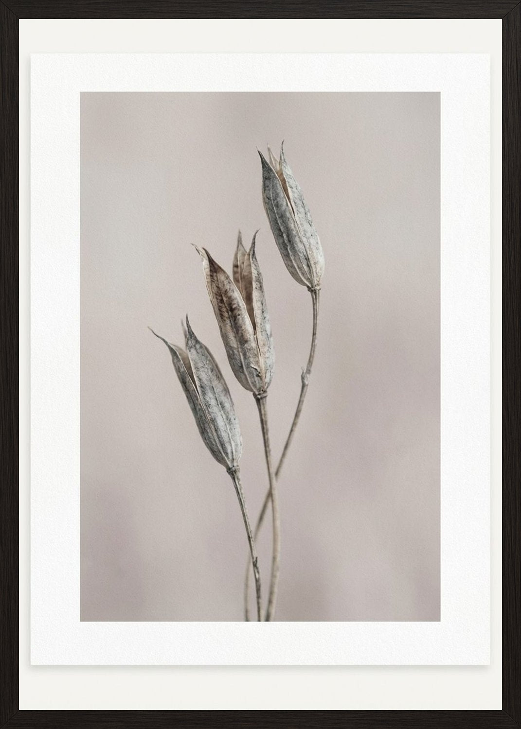 Poster in black frame