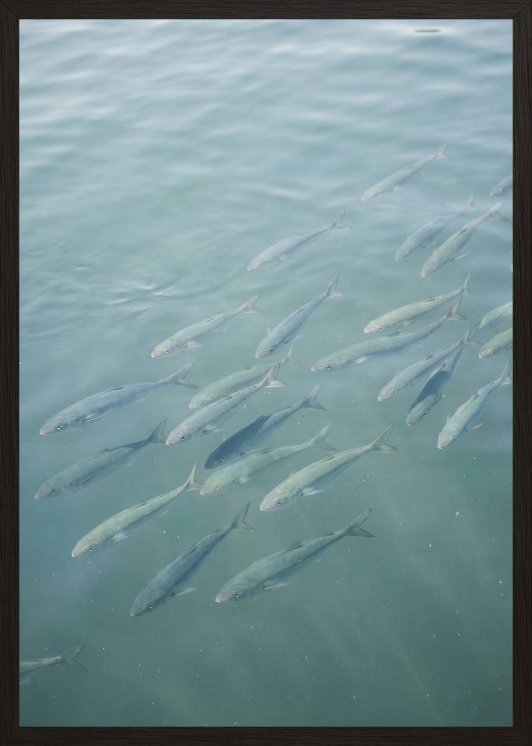 Poster in black frame